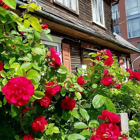 Wooden Vilnius