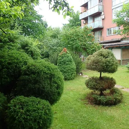Apartment Wooden *
